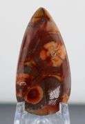 Stunning 39.93ct American Leopard Skin Jasper