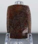 Excellent 22.95ct cabochon cut from dinosaur bone