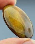 Dramatic 55.94ct Tiger Eye cabochon