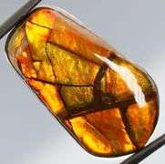 Outstanding 27.67ct full cover Ammolite Opal