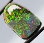 Monumental! 28.42ct Dragon scale patterned rainbow Ammolite