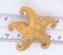 Gorgeous Yellow Gold Starfish Brooch