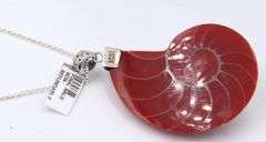 Sterling Silver and Seashell Core Pendant on Chain