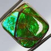Look at this 36.18ct dragonfly wing patterned Ammolite!