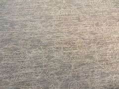 Exquisite Vintage Rug 8x10
