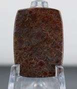 Excellent 22.95ct cabochon cut from dinosaur bone