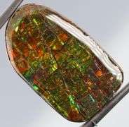 Monumental! 28.42ct Dragon scale patterned rainbow Ammolite