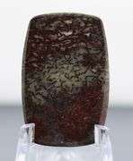 Awesome 18.65ct cabochon cut from dinosaur bone