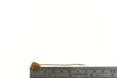 14K Yellow Gold Pear Carnelian Tear Drop Cabochon Stick Pin