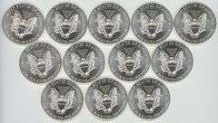 Tube with Twelve (12) Superb Gem BU 2014 $1 Silver Eagles