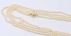 Lot of 3 Fresh Water Pearl Necklaces