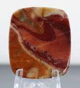 Striking 49.09ct Australian Noreena Jasper