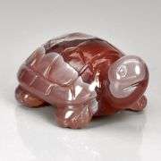 Super cute 37.81ct Agate baby turtle carving