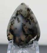 Dramatic! 29.16ct Turkish Dendrite Opal