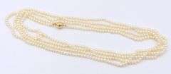 Lot of 3 Fresh Water Pearl Necklaces