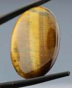 Unique! 32.64ct Golden Tiger Eye cabochon