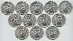 Tube with Twelve (12) Superb Gem BU 2015 $1 Silver Eagles