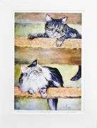 Sue Moses Matted Art Print