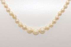 Large Japanese Cultured Pearl Choker