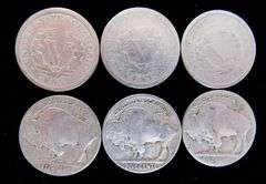 12 U.S. Buffalo & V Nickels