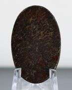 Marvelous 24.24ct cabochon cut from dinosaur bone