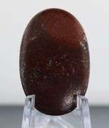 Tremendous 21.01ct cabochon cut from dinosaur bone