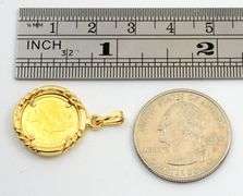 Cute Koala Bear Endangered Wildlife Pendant