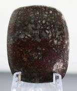 Really cool 32.77ct cabochon cut from dinosaur bone