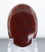 Stunning 28.64ct cabochon cut from dinosaur bone