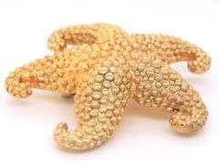 Gorgeous Yellow Gold Starfish Brooch