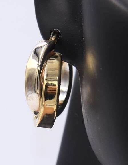 Pleasing Two Tone Gold Crossover Double Hoop Earrings