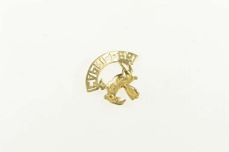 14K Yellow Gold Capricorn Zodiac Sign Astrology Symbol Charm/Pendant