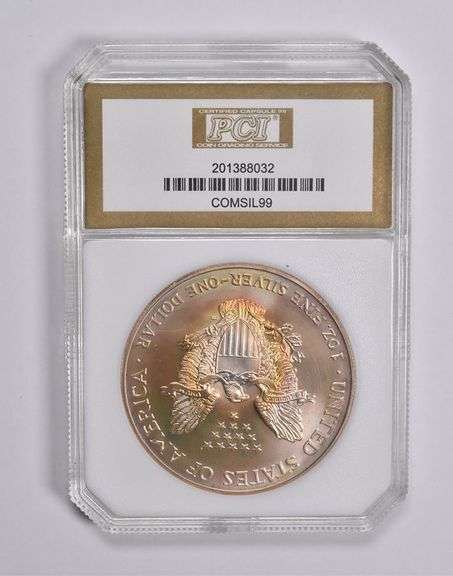 MS70 1999 American Silver Eagle PCI