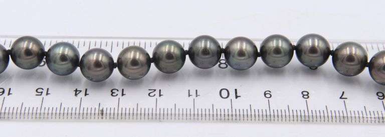Handsome 9x12mm Tahitian Pearl Necklace