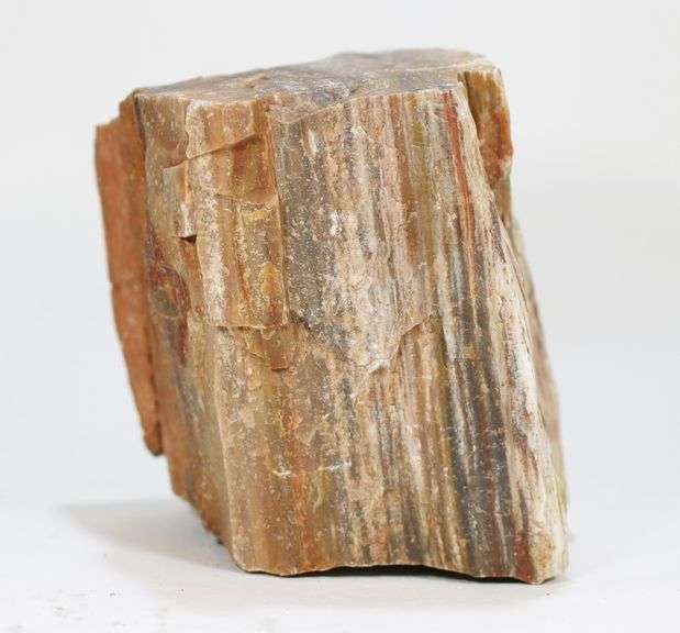 Colossal 6,600ct untreated Petrified Wood block
