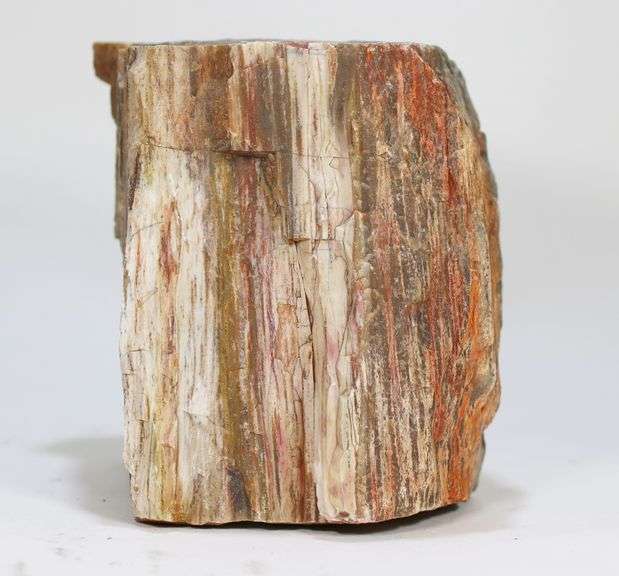 Colossal 6,600ct untreated Petrified Wood block
