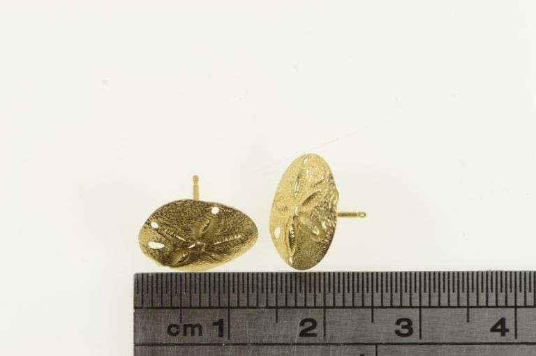 14K Yellow Gold High Relief Sand Dollar Sea Shell Stud Earrings