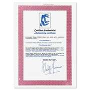 La Chevelure by Henri Matisse (1869-1954)