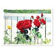Roses by Fox, Perla