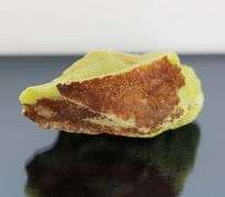 Impressive 528ct uncut natural green Opal