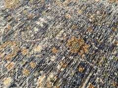 Decorative Vintage Repro Rug 8x10