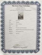 Louis Icart- Musetta