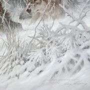 Phantom of the North by Fanning (1938-2014)