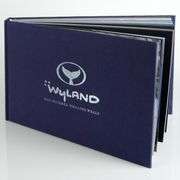 100 Whaling Walls by Wyland