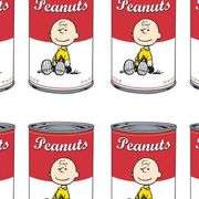 Peanuts Can by Peanuts