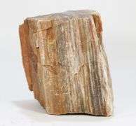 Colossal 6,600ct untreated Petrified Wood block