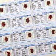 GROUP LOT OF 16 CERTIFIED NATURAL RUBY LOOSE GEMSTONES- 177.0+CARATS!