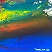 Untitled by Wyland