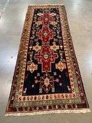 Magnificent Persian Runner 3.3x9.9