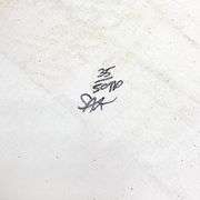 Campbell's Soup Can by Steve Kaufman